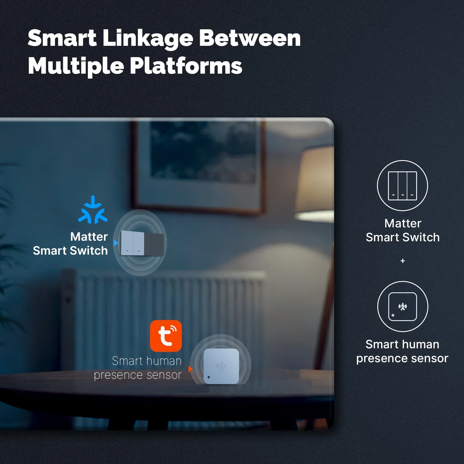 MOES Matter Tuya WiFi 스마트 라이트  - Smart Light Switch Wifi 리뷰 및 가격